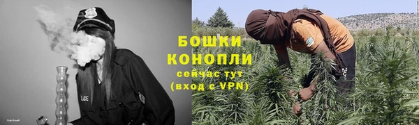 ПСИЛОЦИБИНОВЫЕ ГРИБЫ Балахна