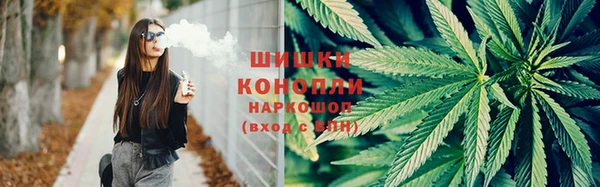 ПСИЛОЦИБИНОВЫЕ ГРИБЫ Балахна